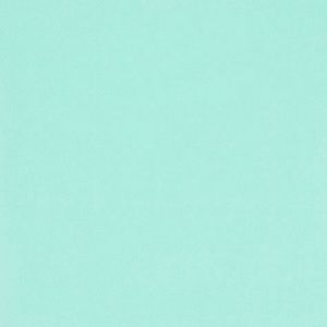 Meet your Posher, Lydia